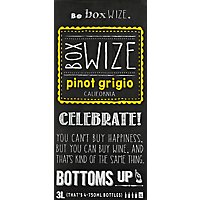 Box Wize Pinot Grigio Wine - 3 Liter - Image 2