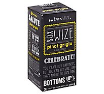 Box Wize Pinot Grigio Wine - 3 Liter