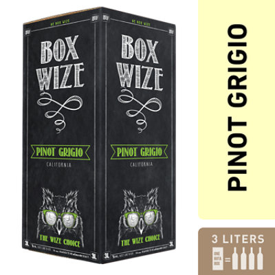 Box Wize Pinot Grigio Wine - 3 Liter