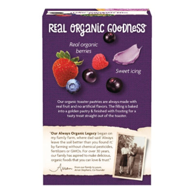 Nature's Path Organic Frosted Wildberry Acai Toaster Pastries - 6 Count - Image 3