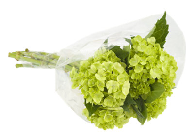 Mini Hydrangea - 3 Stem - Image 1