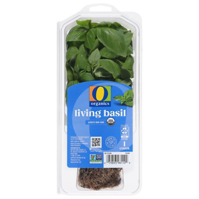O Organics Basil Living - Each - Image 1