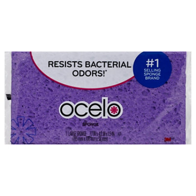 Ocelo Large Sponge