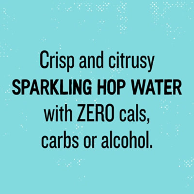 Lagunitas Brewing Co Hoppy Refresher Sparkling Hop Water - 6-12 Fl. Oz. - Image 2