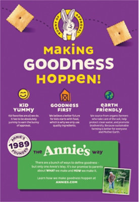 Annies Homegrown Crackers Organic Baked Snack White Cheddar Squares Box - 7.5 Oz - Image 5