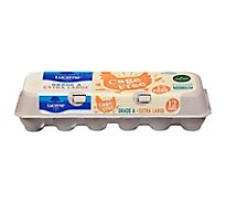 Lucerne Farms Eggs Cage Free Extra Large - 12 Count