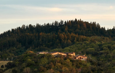 Silverado Geo Cabernet Sauvignon Wine - 750 Ml - Image 5