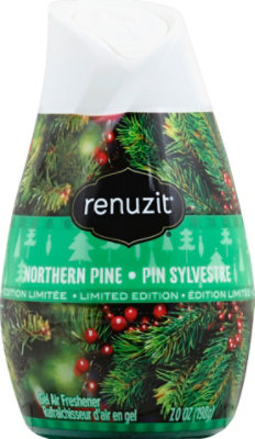 Dial Renuzit Nrt Pine - Each - Image 2