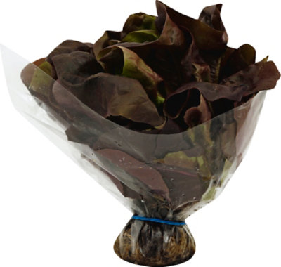 Petes Living Greens Red Butter Lettuce - Each - Image 2