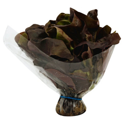 Petes Living Greens Red Butter Lettuce - Each