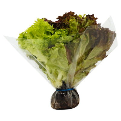 Petes Living Greens Bouquet Lettuce - Each