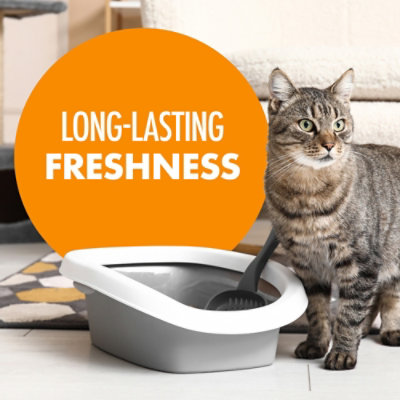 ARM & HAMMER Pet Fresh Carpet Odor Eliminator - 30 Oz - Image 3