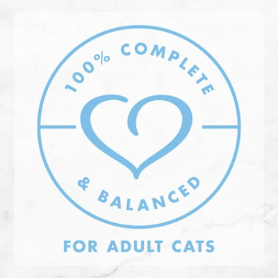 Fancy Feast Cat Food Wet Creamy Delights Salmon - 3 Oz - Image 3