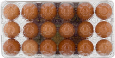 Nellies Eggs Free Range Large Brown - 18 Count - Image 5