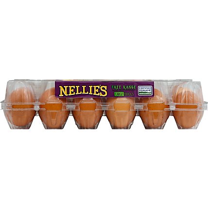 Nellies Eggs Free Range Large Brown - 18 Count - Image 2