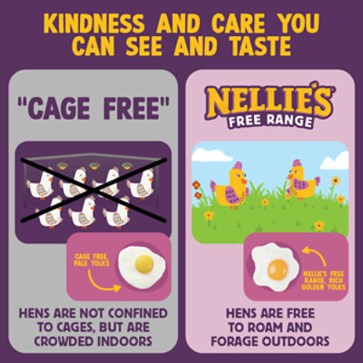 Nellies Eggs Free Range Large Brown - 18 Count - Image 5