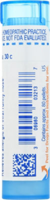 Allium Cepa 30c - 80 Count - Image 5