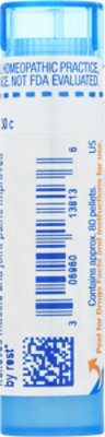 Boiron Bryonia 30c - 80 Count - Image 5