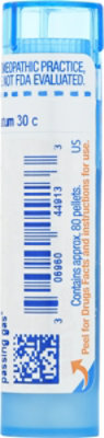Lycopodium Clavatum 30c - 80 Count - Image 5