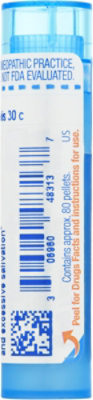 Mercurius Solubilis 30c - 80 Count - Image 5