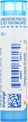 Pulsatilla 30c - 80 Count - Image 4