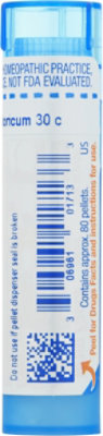 Boiron Histaminum Hydrochloricum 30c - 80 Count - Image 5