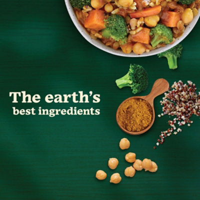 Sweet Earth Vegan Curry Tiger Frozen Bowl - 9 Oz - Image 2