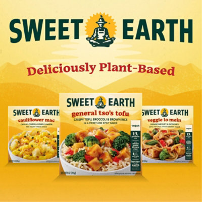 Sweet Earth Vegan Curry Tiger Frozen Bowl - 9 Oz - Image 4