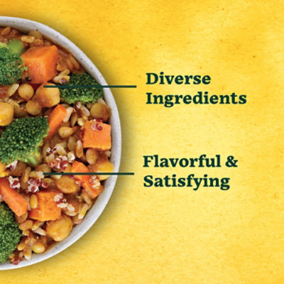 Sweet Earth Vegan Curry Tiger Frozen Bowl - 9 Oz - Image 3