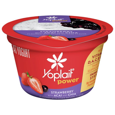 Upstate Blueberry Yogurt - 4 Oz