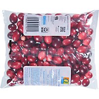 O Organics Organic Cranberries Prepacked Bag Fresh - 8 Oz - Image 6