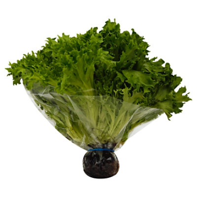 Petes Living Greens Green Leaf Lettuce - Each