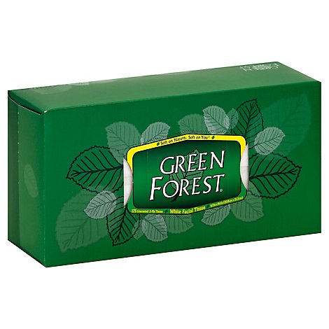 Green Forest Facial Tissue 2-Ply Recycled Unscented White - 175 Count