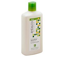 Andalou Naturals Shampoo Ex Mrla Oil Silky - 11.5 Oz