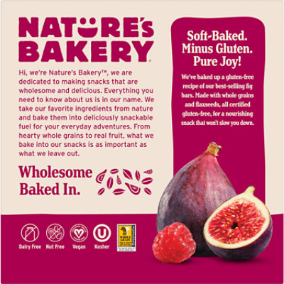Natures Bakery Bar Fig Gf Raspberry 6ct - 12 Oz - Image 3
