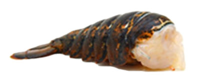 Lobster Tail Raw 4 Oz Previously Frozen 1 Count - Each - Image 1