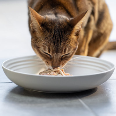 Reveal Cat Food Grain Free Tuna With Shrimp In A Natural Broth - 2.12 Oz - Image 7