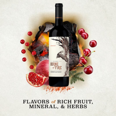 Borne Of Fire Wine Cabernet Sauvignon - 750 Ml - Image 3