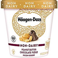 Haagen-Dazs Non-Dairy Peanut Butter Chocolate Fudge Ice Cream - 14 Fl. Oz. - Image 2
