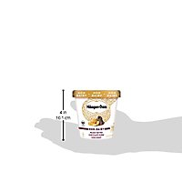 Haagen-Dazs Non-Dairy Peanut Butter Chocolate Fudge Ice Cream - 14 Fl. Oz. - Image 5