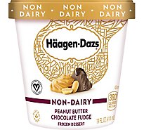 Haagen-Dazs Non-Dairy Peanut Butter Chocolate Fudge Ice Cream - 14 Fl. Oz.