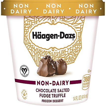 Haagen-Dazs Non Dairy Ice Cream Chocolat - 14 Fl. Oz. - Image 2