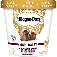 Haagen-Dazs Non Dairy Ice Cream Chocolat - 14 Fl. Oz. - Image 2