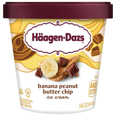 Haagen-Dazs Banana Peanut Butter Chocola - 14 Fl. Oz.