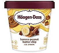 Haagen-Dazs Banana Peanut Butter Chocola - 14 Fl. Oz.