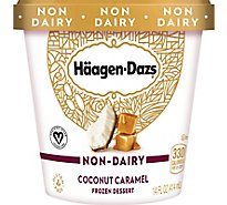 Haagen-Dazs Non Dairy Ice Cream Coconut - 14 Fl. Oz.