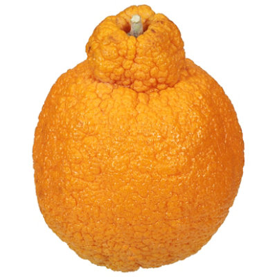 Sumo Citrus - Image 4