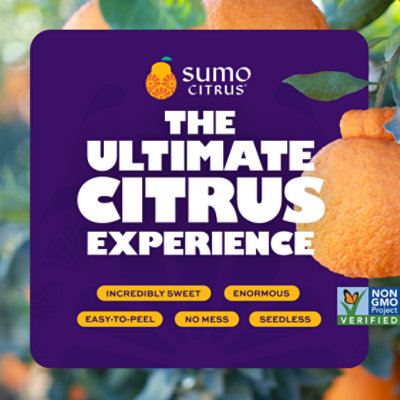 Sumo Citrus - Image 5