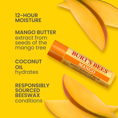 Burt's Bees Superfruit 100% Natural Origin Moisturizing Lip Balm Variety Pack - 4 Count - Image 3