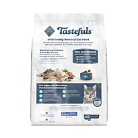 Blue Cat Food Sensitive Stomach Adult Chicken & Brown Rice Recipe - 10 Lb